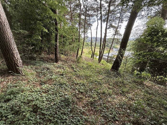 충청남도 서산시 부석면 강수리 산12