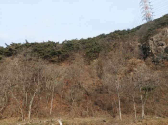 충청남도 당진시 구룡동 산191-3