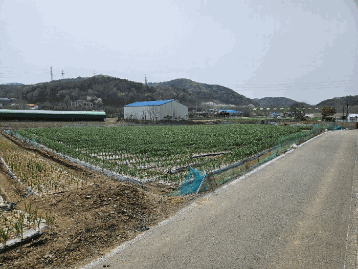 충청남도 서산시 성연면 고남리 195-5 외 1 필지
