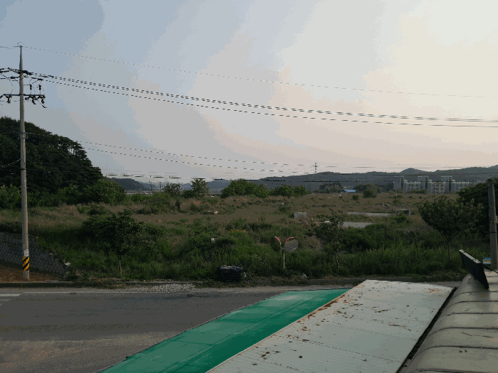 충청남도 당진시 석문면 교로리 100-155 외 1 필지