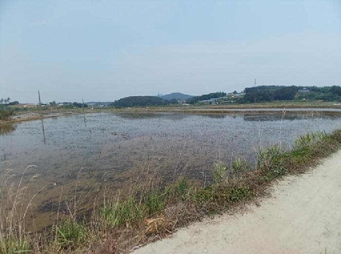 충청남도 서산시 지곡면 환성리 694-40 외 11 필지