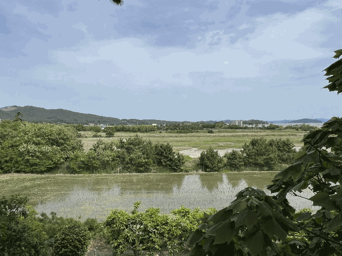 충청남도 서산시 대산읍 오지리 338-56