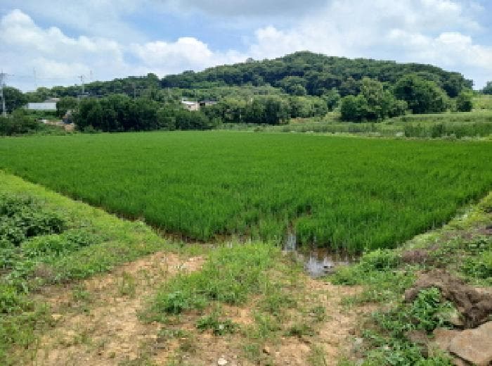 충청남도 당진시 석문면 통정리 12-6