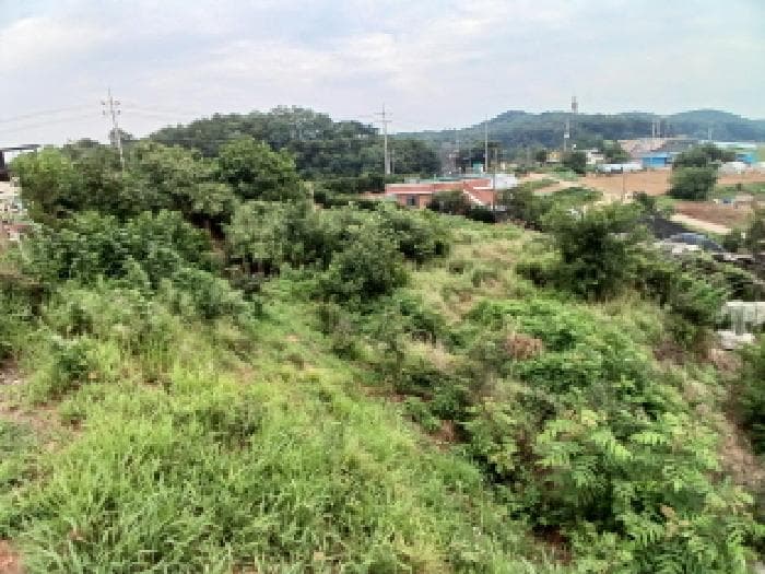 충청남도 당진시 석문면 삼봉리 479-1