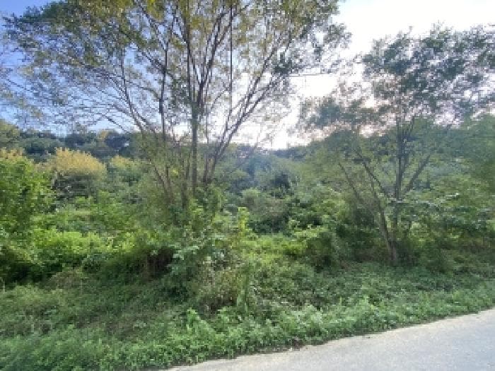 충청남도 당진시 송악읍 가교리 594-8 외 14 필지
