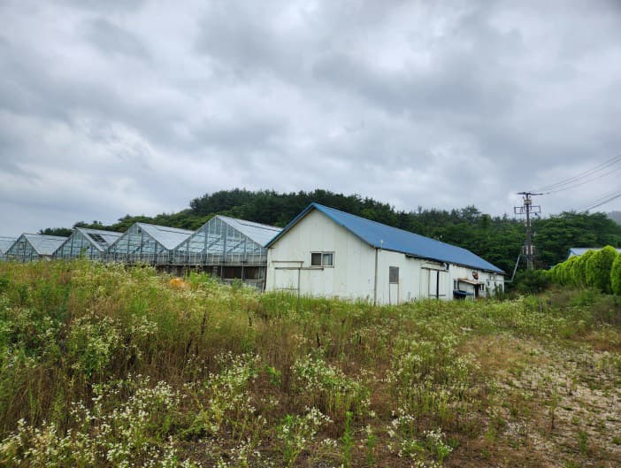 충청남도 서산시 대산읍 화곡리 산175-1