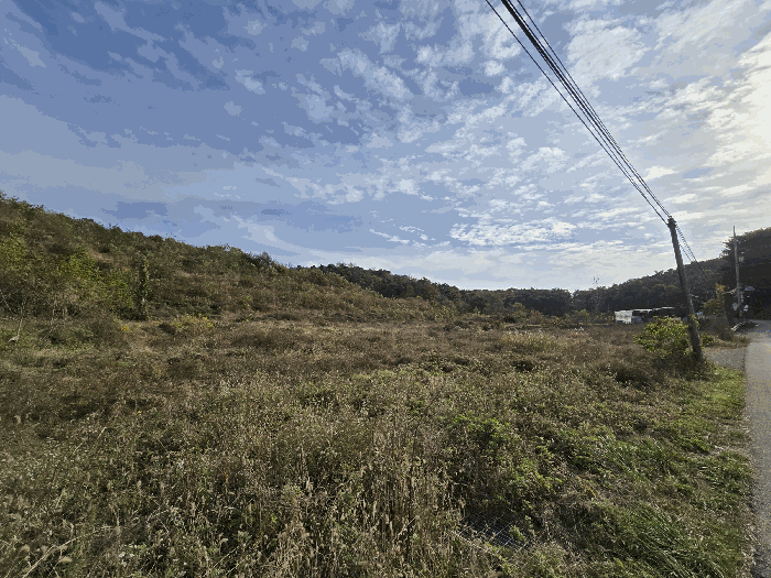 충청남도 당진시 송악읍 월곡리 256-2