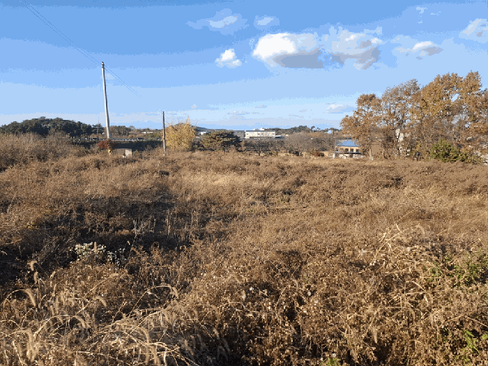 충청남도 당진시 송악읍 전대리 351-2