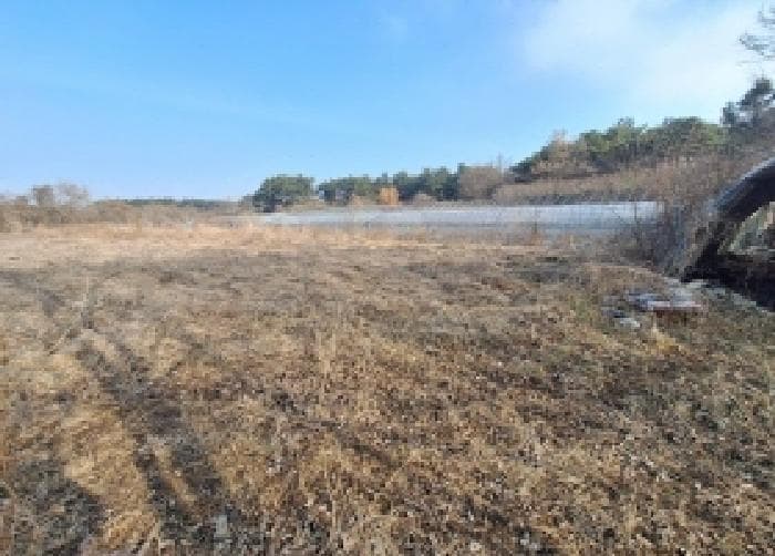 충청남도 서산시 지곡면 대요리 28-1 외 1 필지