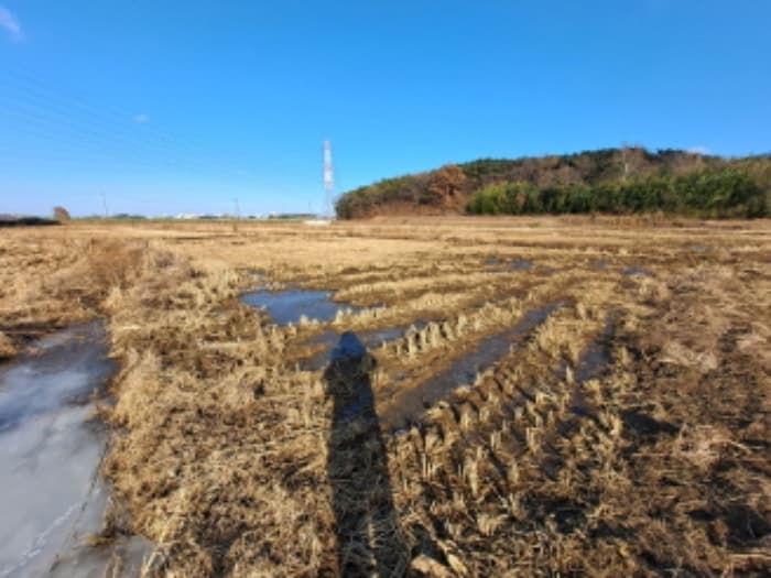 충청남도 당진시 송악읍 월곡리 산34-27 외 1 필지