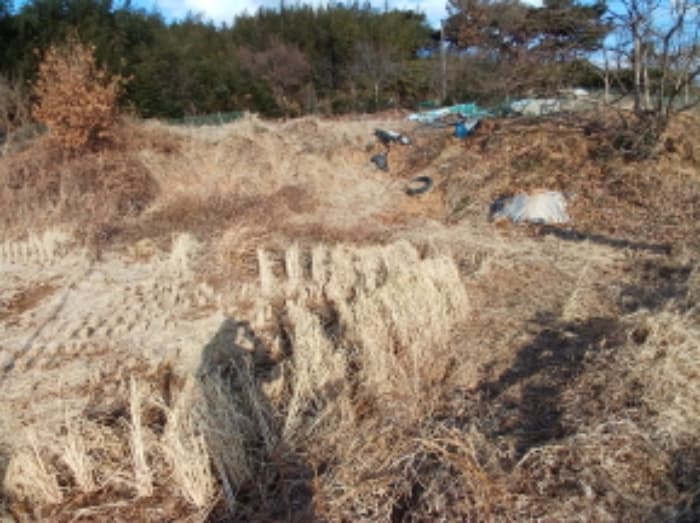 충청남도 서산시 대산읍 대산리 323 외 1 필지