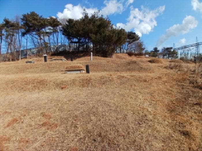 충청남도 당진시 석문면 교로리 935-9 외 1 필지