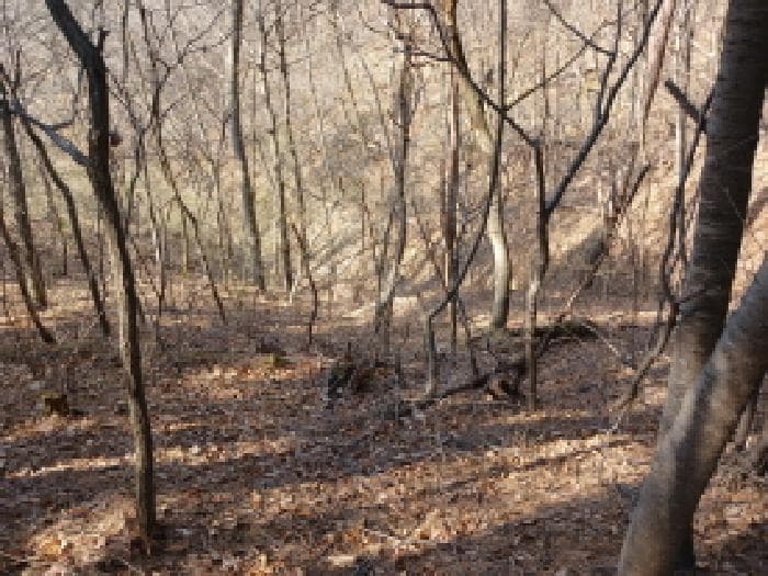 충청남도 당진시 고대면 옥현리 산52 외 2 필지