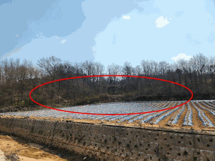 충청남도 당진시 합덕읍 도곡리 138-1