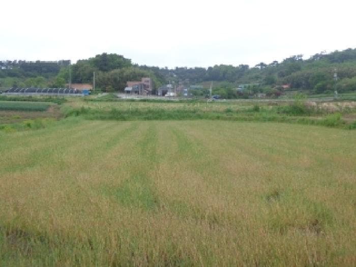 충청남도 서산시 인지면 화수리 265-2