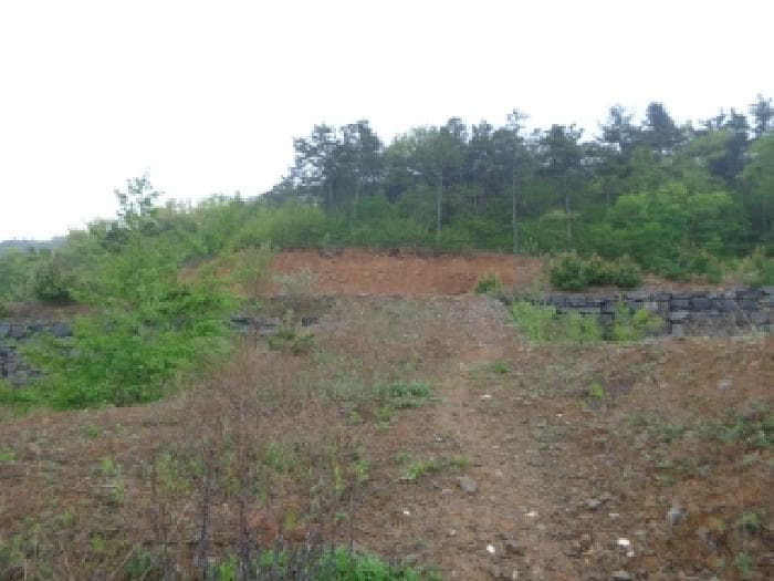 충청남도 서산시 인지면 산동리 248-23 외 6 필지