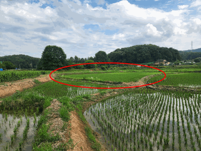 충청남도 당진시 송악읍 월곡리 141 외 2 필지