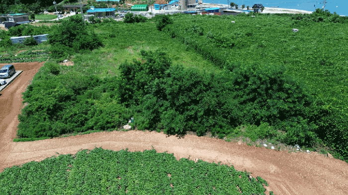 충청남도 당진시 석문면 교로리 100-2 외 5 필지