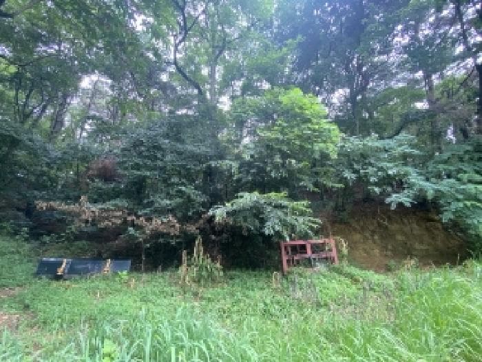 충청남도 당진시 대덕동 1061-8 외 2 필지