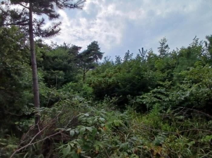 충청남도 서산시 대산읍 운산리 산168-61