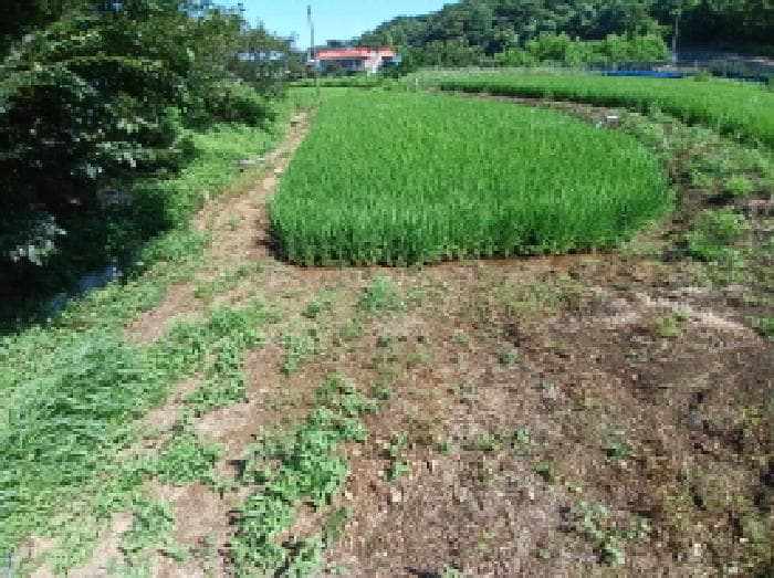 충청남도 서산시 지곡면 무장리 309 외 3 필지