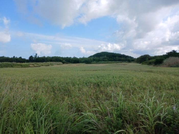 충청남도 서산시 대산읍 오지리 338-70