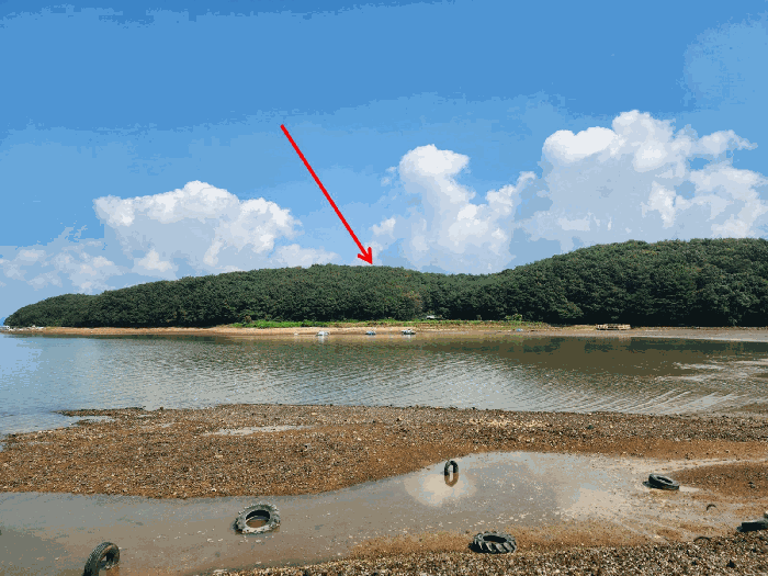 충청남도 태안군 안면읍 중장리 318-5 외 1 필지