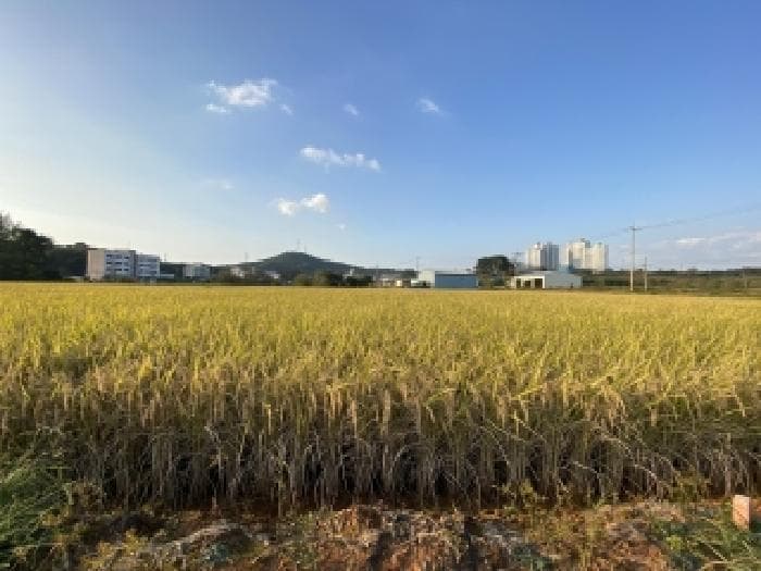 충청남도 당진시 송악읍 중흥리 416-3 외 1 필지