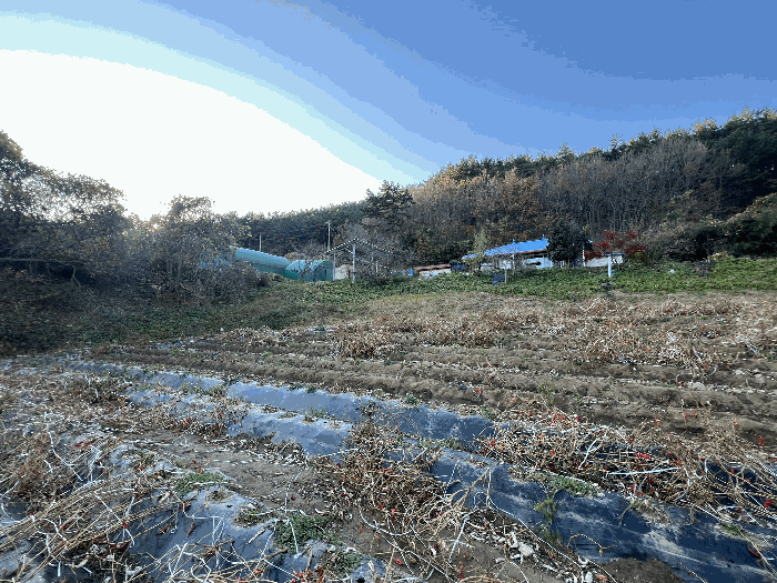 충청남도 태안군 이원면 포지리 580