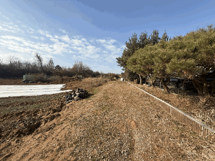 충청남도 당진시 신평면 거산리 462-8