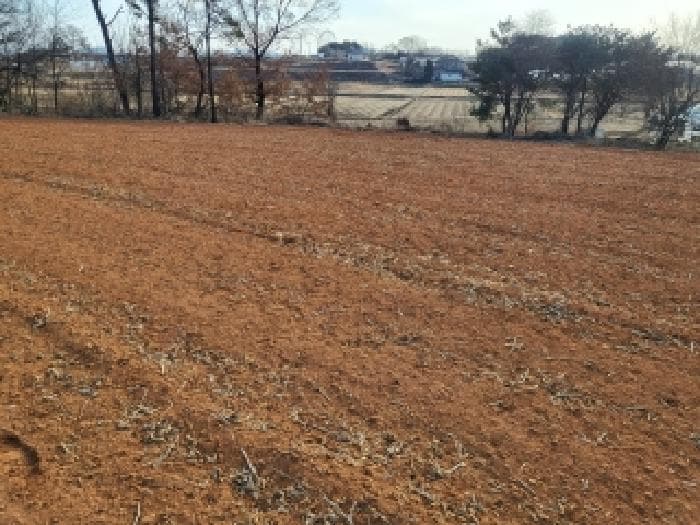 충청남도 당진시 신평면 부수리 24-26