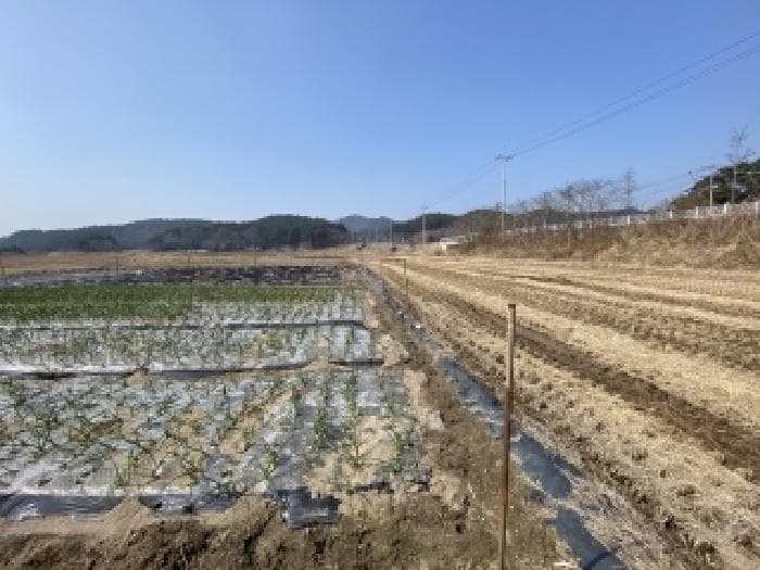 충청남도 태안군 소원면 송현리 409