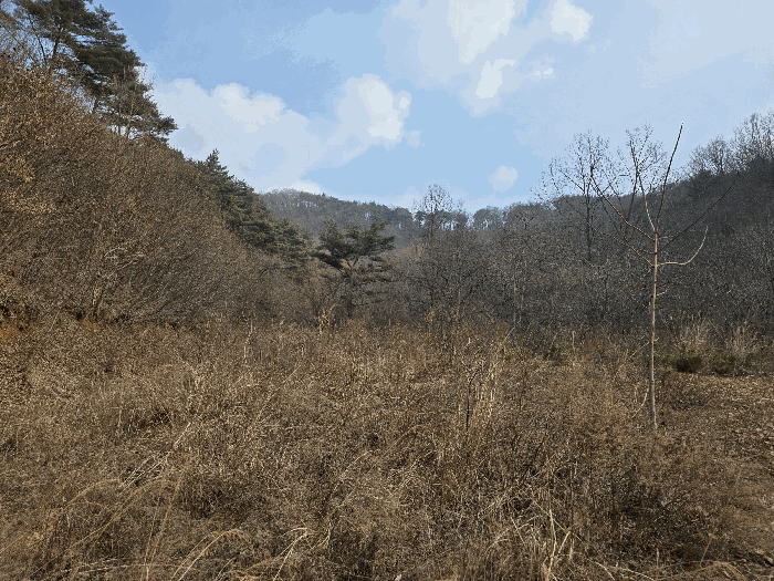 충청남도 서산시 지곡면 장현리 산67-1