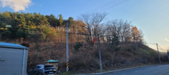 경상북도 청도군 풍각면 성곡리 산207