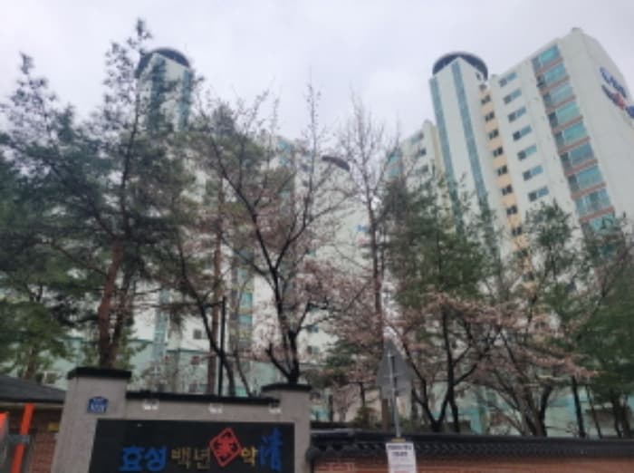 대구광역시 수성구 달구벌대로 3233, 103동 8층803호 (신매동,신매동 효성백년가약(청))