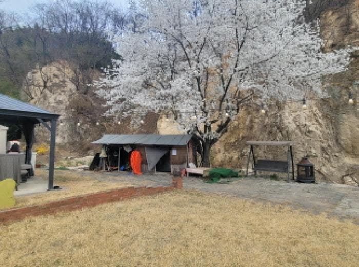 대구광역시 동구 덕곡동 384-2 외 2 필지