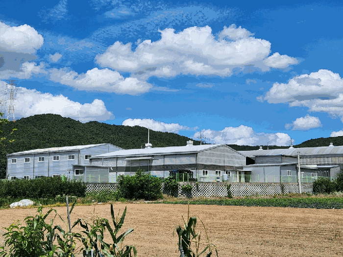 경상북도 칠곡군 가산면 심곡리 456-152 외 3 필지 외 1개 동