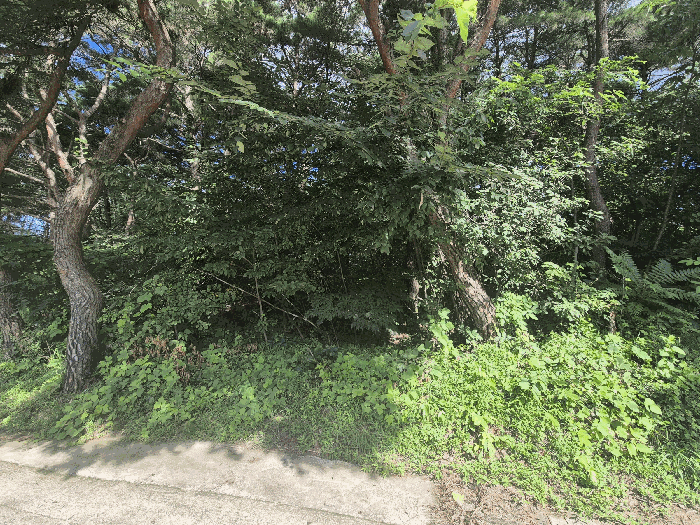 경상북도 칠곡군 동명면 득명리 286-28 외 2 필지