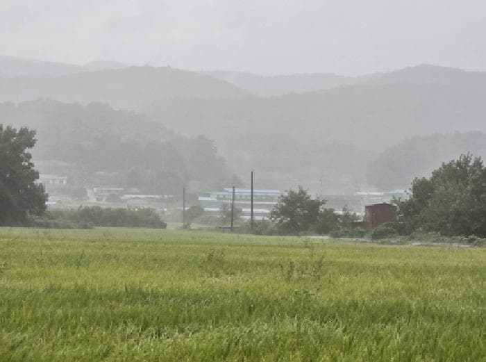 경상북도 영천시 북안면 용계리 123