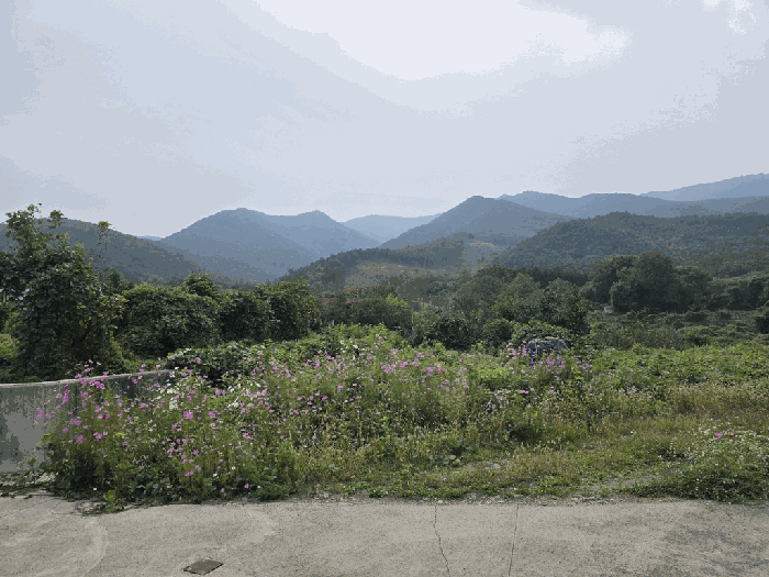 경상북도 칠곡군 가산면 학상리 35-1 외 1 필지