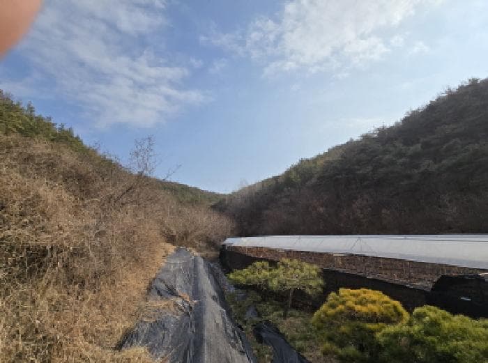 경상북도 영천시 고경면 차당리 산17
