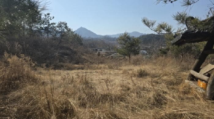 경상북도 칠곡군 약목면 남계리 1055-49 외 2 필지