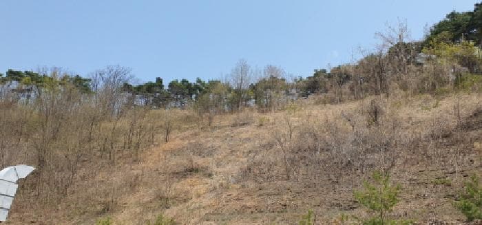 경상북도 경산시 자인면 신관리 산47-4