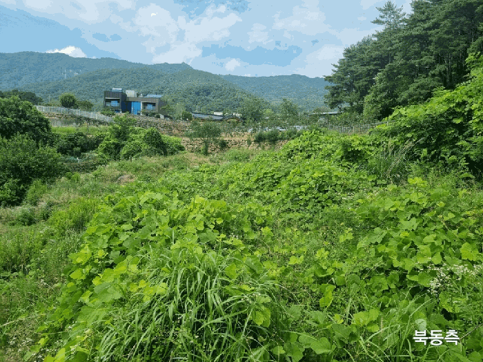 경상북도 칠곡군 동명면 남원리 137