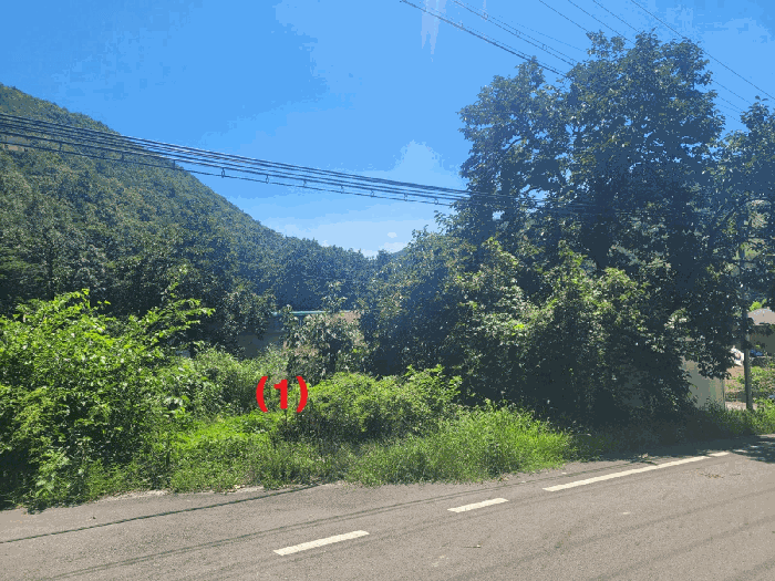 경상북도 칠곡군 지천면 백운리 120-1