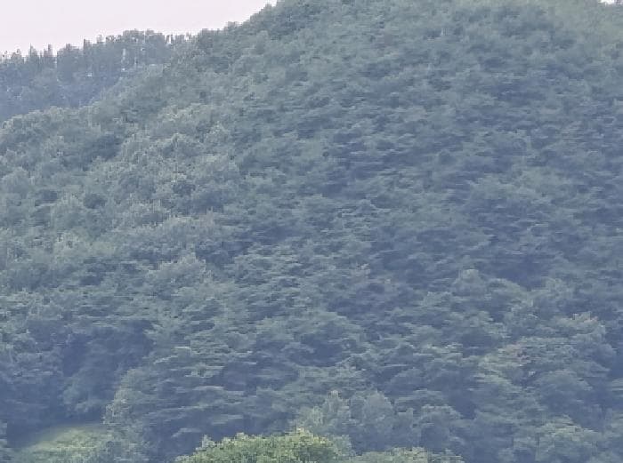 경상북도 영천시 임고면 삼매리 산58