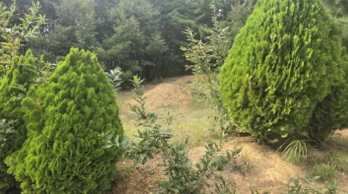 경상북도 칠곡군 가산면 석우리 산28