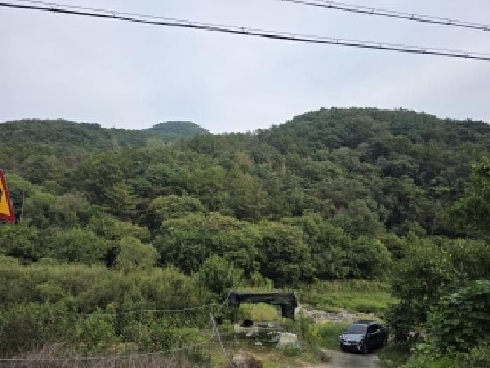 경상북도 청도군 운문면 봉하리 산32
