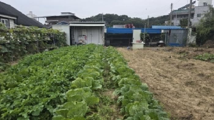 경상북도 칠곡군 석적읍 남율리 642