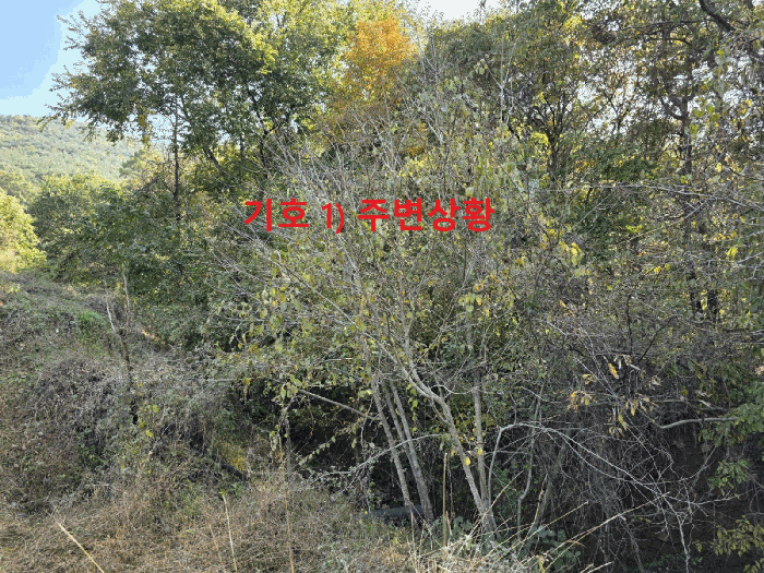 경상북도 청도군 풍각면 성곡리 1129-5